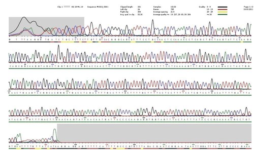 Sequencing after direct PCR