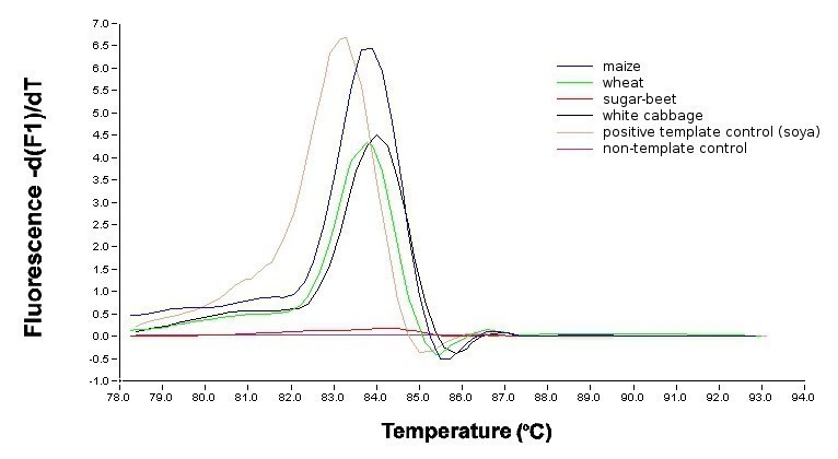 Direct PCR plants
