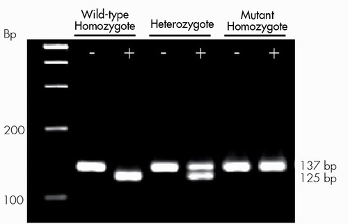 PCR SNP-Analysis